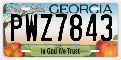 GA license plate PWZ7843