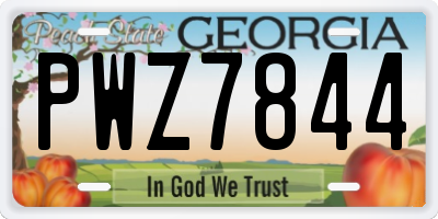 GA license plate PWZ7844