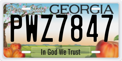 GA license plate PWZ7847