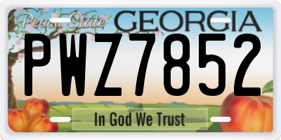 GA license plate PWZ7852