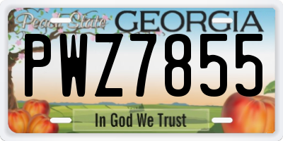 GA license plate PWZ7855