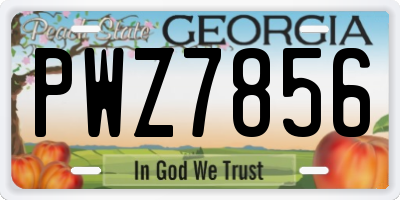 GA license plate PWZ7856