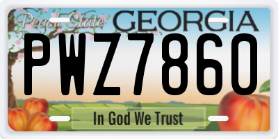 GA license plate PWZ7860