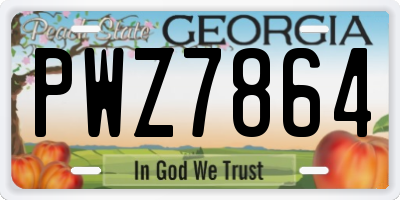 GA license plate PWZ7864