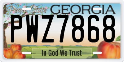 GA license plate PWZ7868