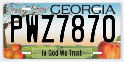 GA license plate PWZ7870