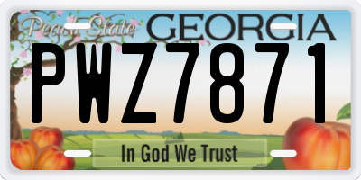 GA license plate PWZ7871