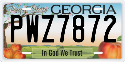 GA license plate PWZ7872