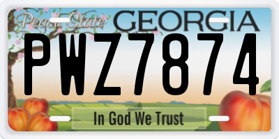 GA license plate PWZ7874