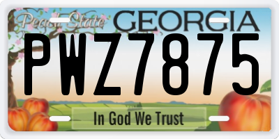 GA license plate PWZ7875
