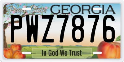 GA license plate PWZ7876