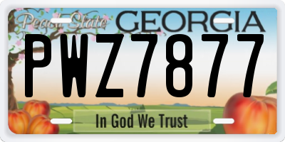 GA license plate PWZ7877