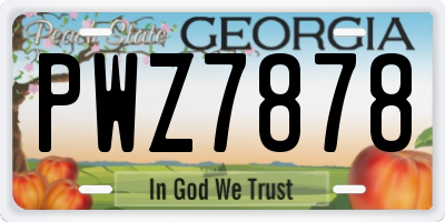 GA license plate PWZ7878