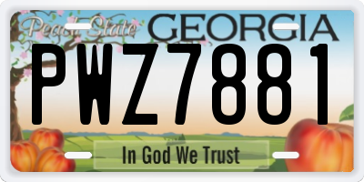 GA license plate PWZ7881