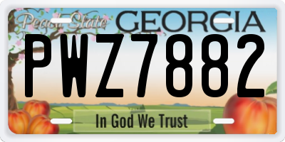 GA license plate PWZ7882