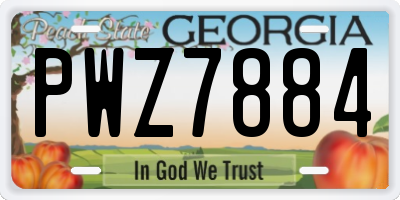 GA license plate PWZ7884