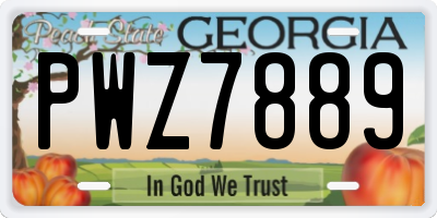 GA license plate PWZ7889