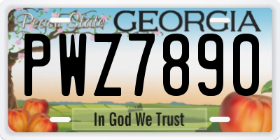 GA license plate PWZ7890