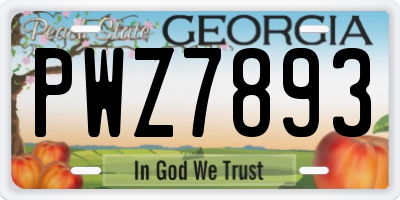GA license plate PWZ7893