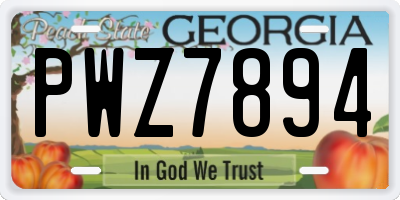 GA license plate PWZ7894