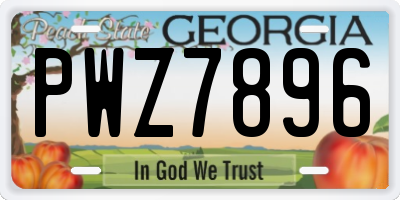 GA license plate PWZ7896