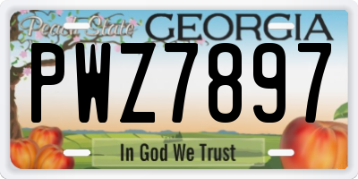 GA license plate PWZ7897