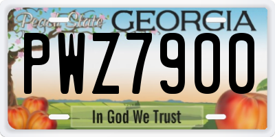 GA license plate PWZ7900