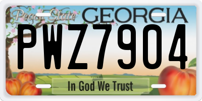 GA license plate PWZ7904