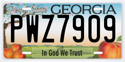 GA license plate PWZ7909