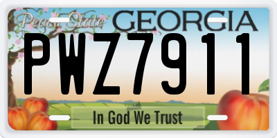 GA license plate PWZ7911