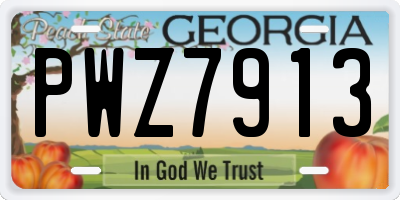 GA license plate PWZ7913