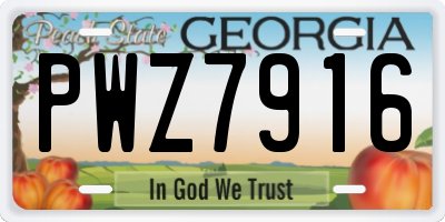 GA license plate PWZ7916