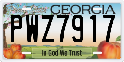 GA license plate PWZ7917