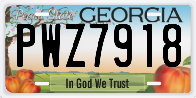 GA license plate PWZ7918