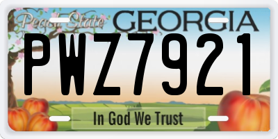 GA license plate PWZ7921