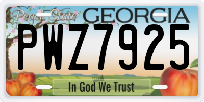 GA license plate PWZ7925