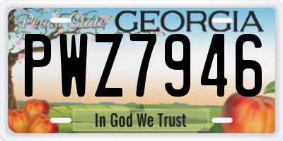 GA license plate PWZ7946