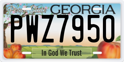 GA license plate PWZ7950