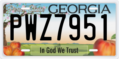 GA license plate PWZ7951