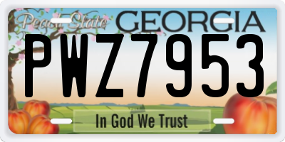 GA license plate PWZ7953