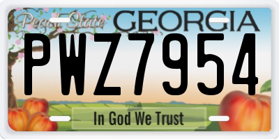 GA license plate PWZ7954