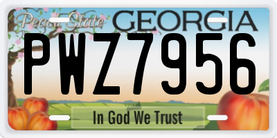 GA license plate PWZ7956