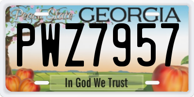 GA license plate PWZ7957