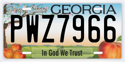 GA license plate PWZ7966