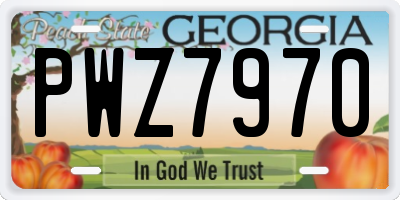 GA license plate PWZ7970