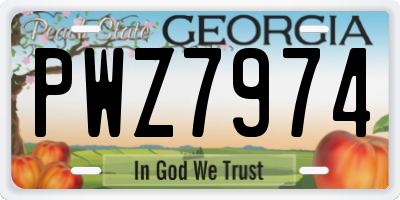 GA license plate PWZ7974