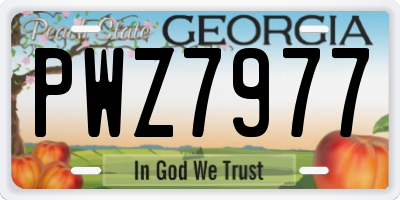 GA license plate PWZ7977