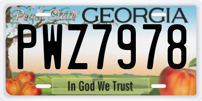 GA license plate PWZ7978