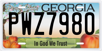 GA license plate PWZ7980