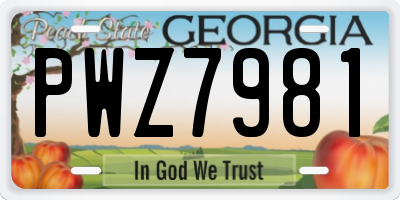GA license plate PWZ7981